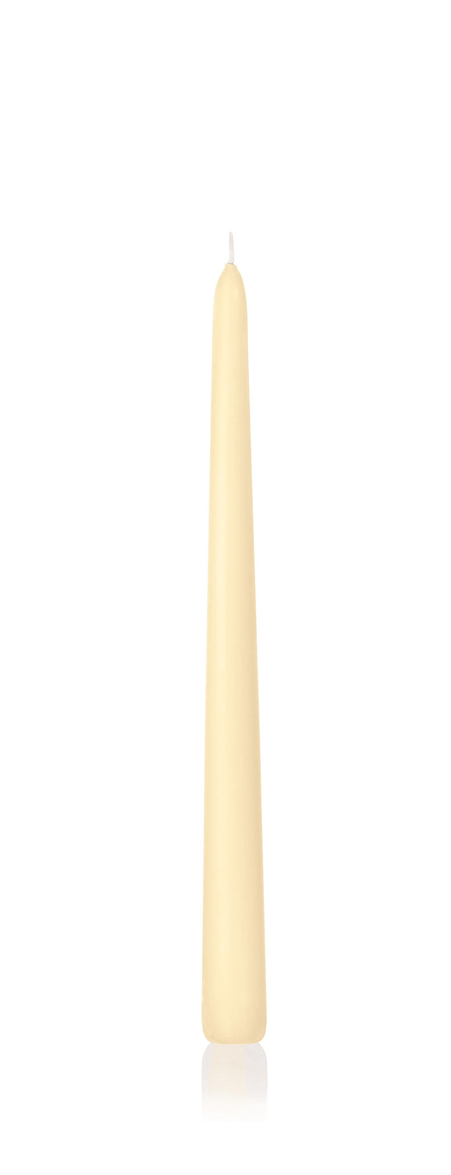 6x Konische Kerzen in Cellophan 300/25mm (Bisquit)