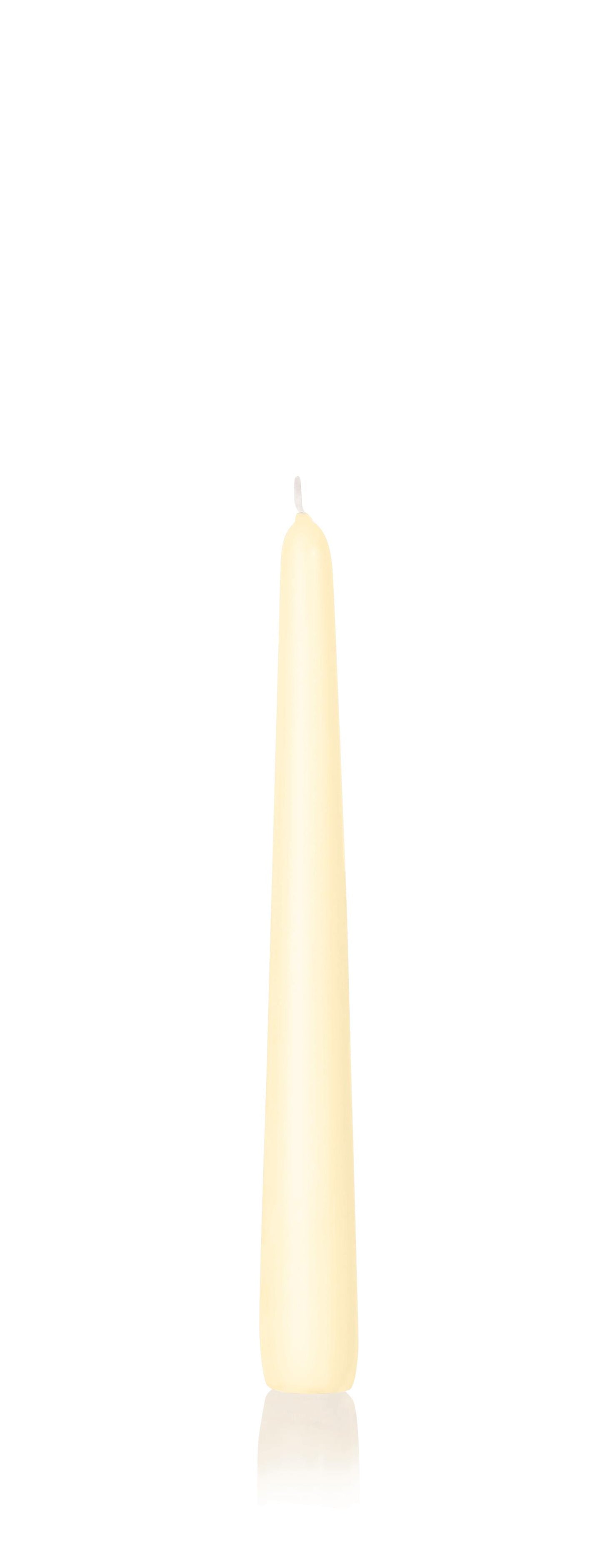 50x Konische Kerzen in Cellophan 250/25mm (Bisquit)