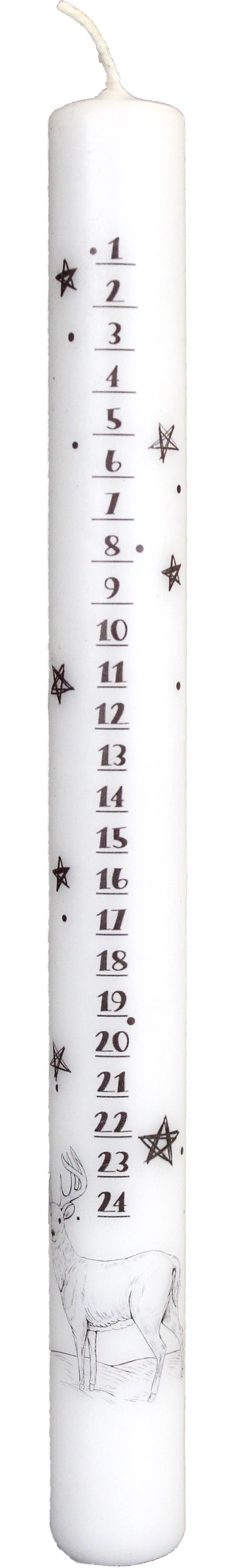 10x Stabkerze Adventskalender Fotodruck Hirsch 250/23mm (Weiß)